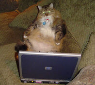 Edloe laptop
