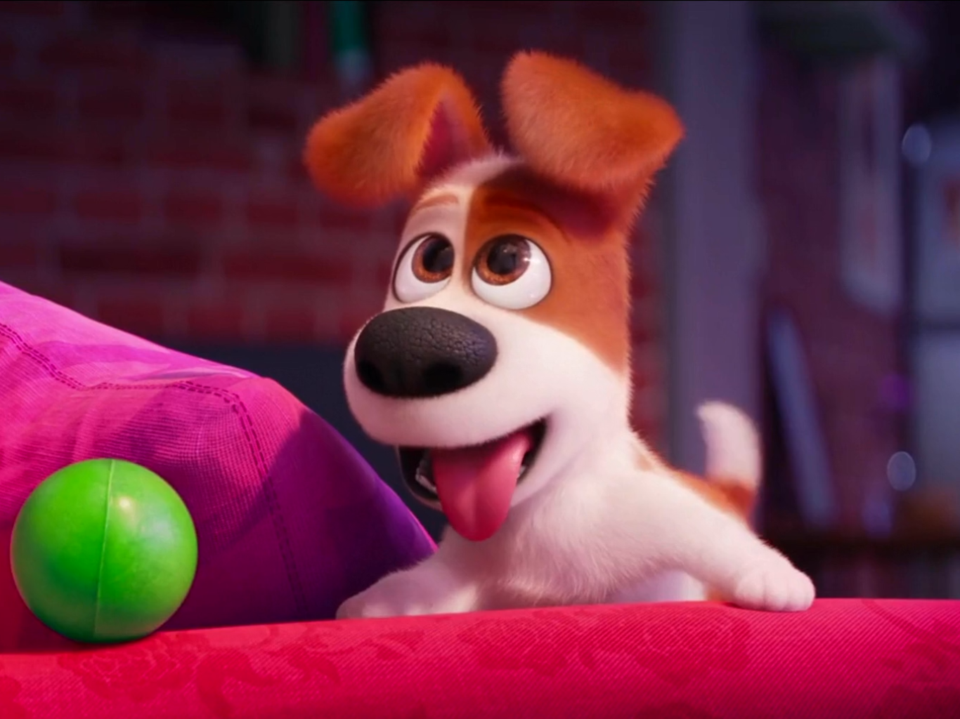 the secret of life pets max