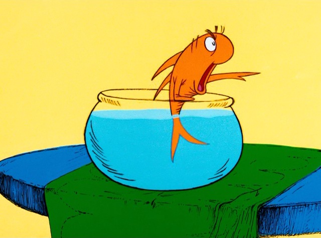 the fish dr seuss wiki fandom powered by wikia how the grinch stole christmas wiki