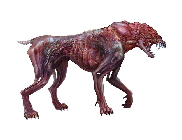 File:Feral Idea 1.jpg
