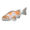 Ochiba koi