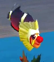 Tragicclownfish