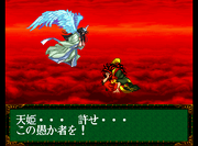 Tenhime-amakusa