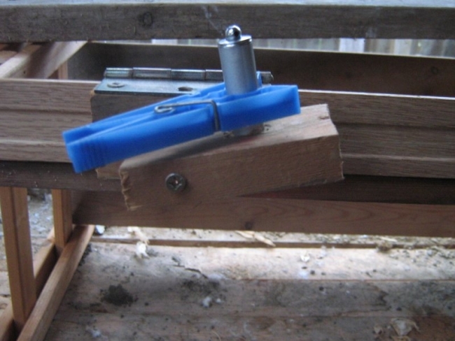 Clothes Pin