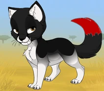 Another cat Blood.png (208 KB) Another cat Blood