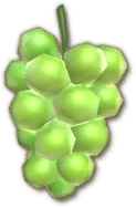 Grapes