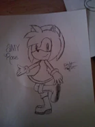 Amy rose by stp