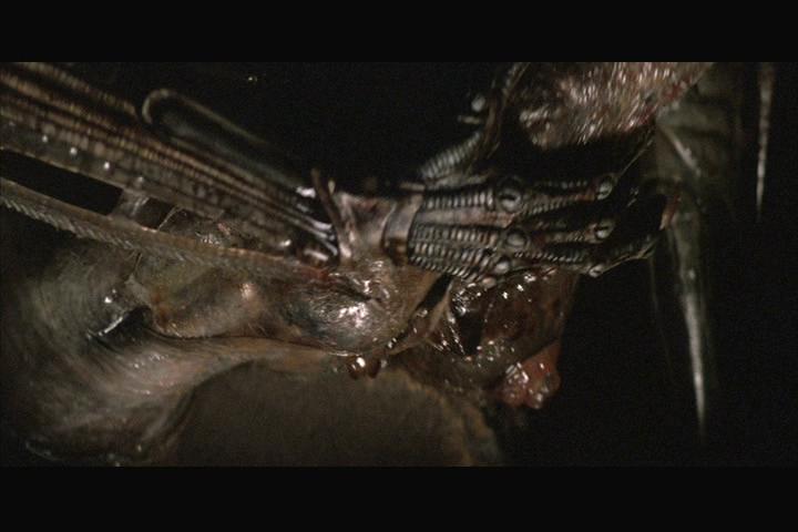species movie wikipedia