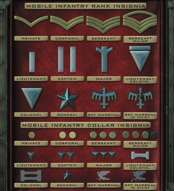 download the books