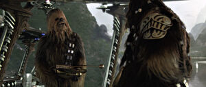 Chewiekashyyyk.jpg