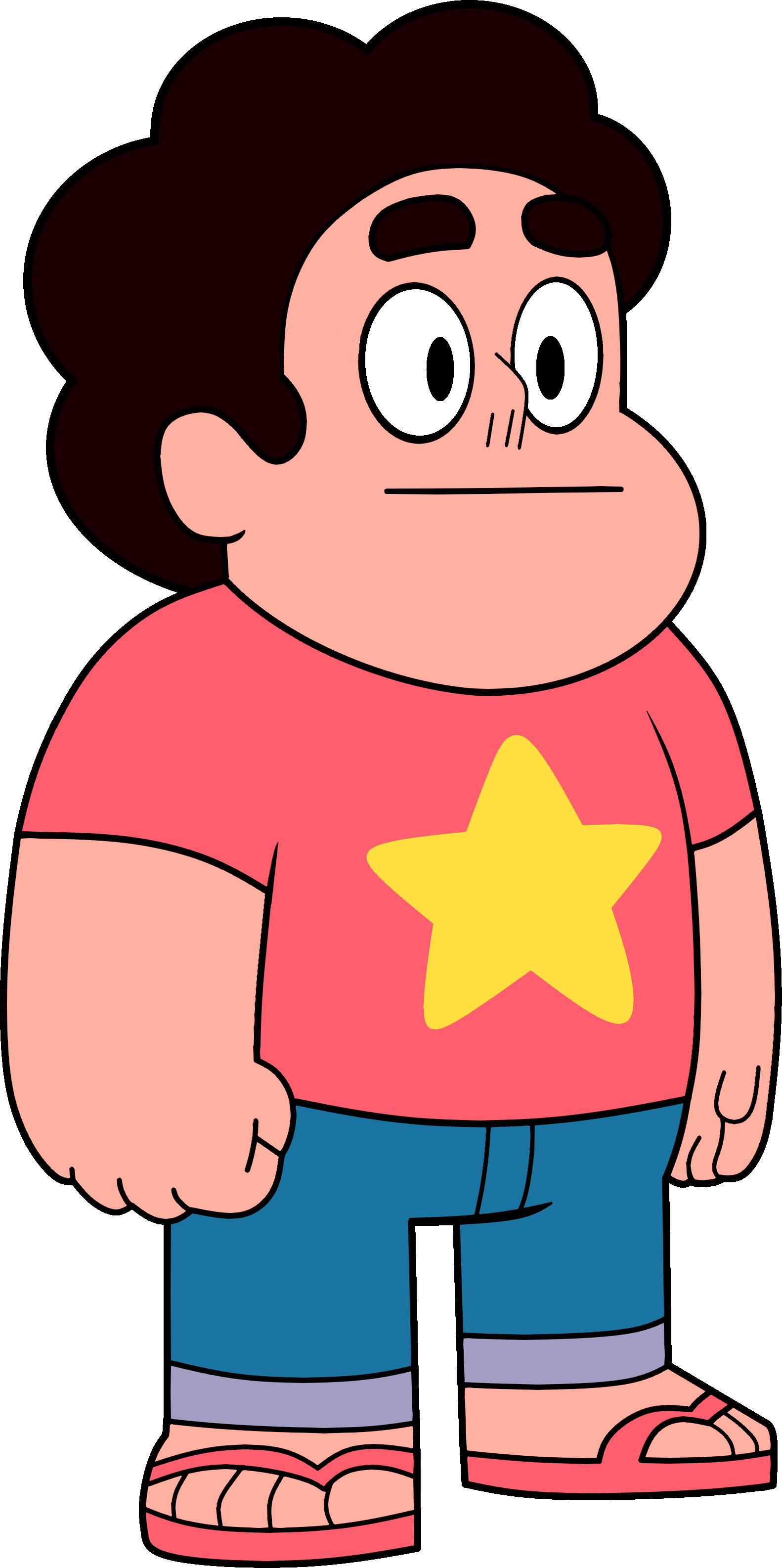Close To All Of The Steven Universe Characters Steven