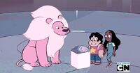 Roseblock.jpg