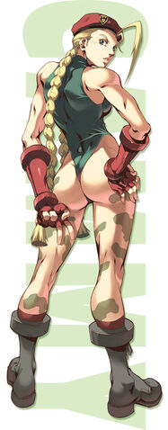 File:Cammy door poster.jpg