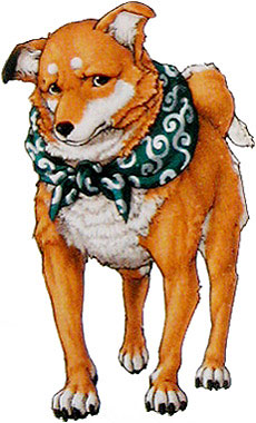 Destiny Dogs Tactics Destiny Dogs Tactics