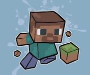 Mr minecraft