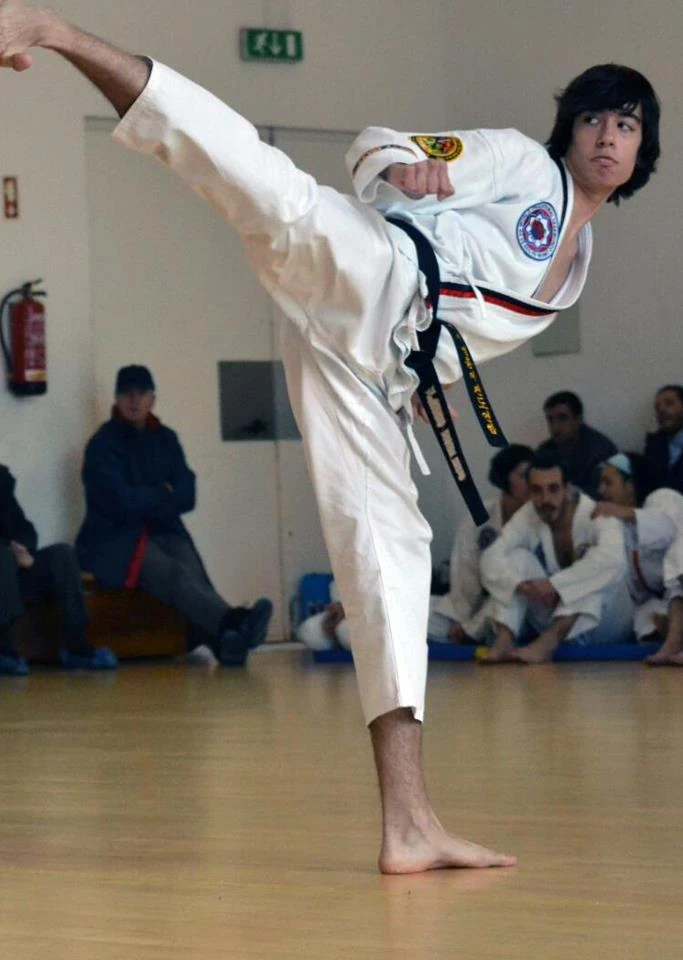 CategoryMartial Art Taekwondo Wiki Wikia