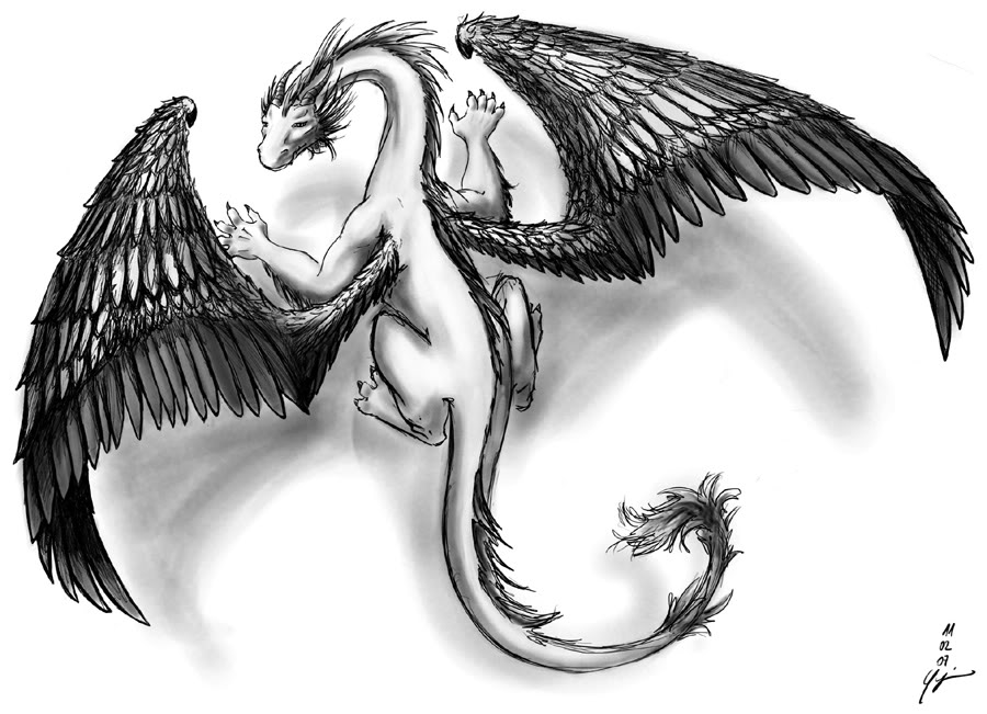 image small dragon jpg the dragon academy wiki image small dragon jpg the dragon academy wiki