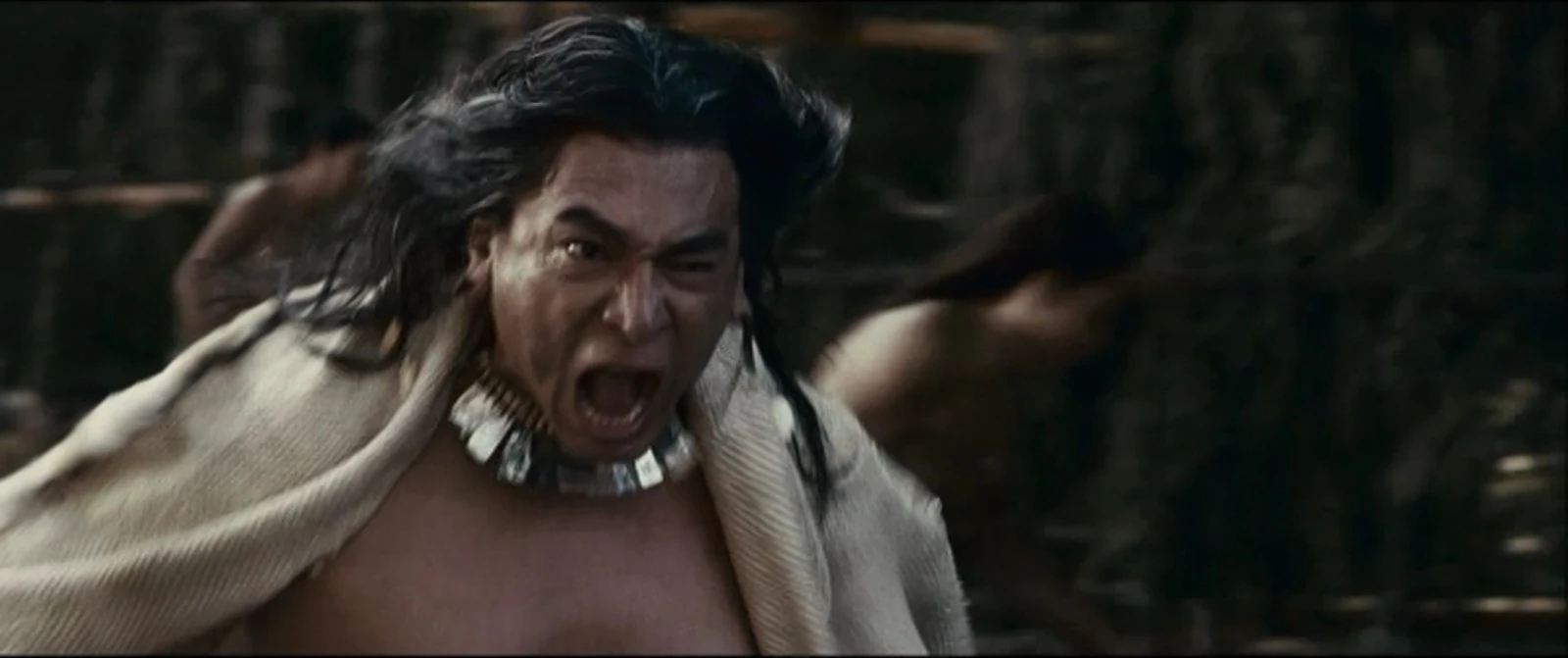 ShapeShifter The Twilight Saga Fanon Wikia FANDOM powered by Wikia