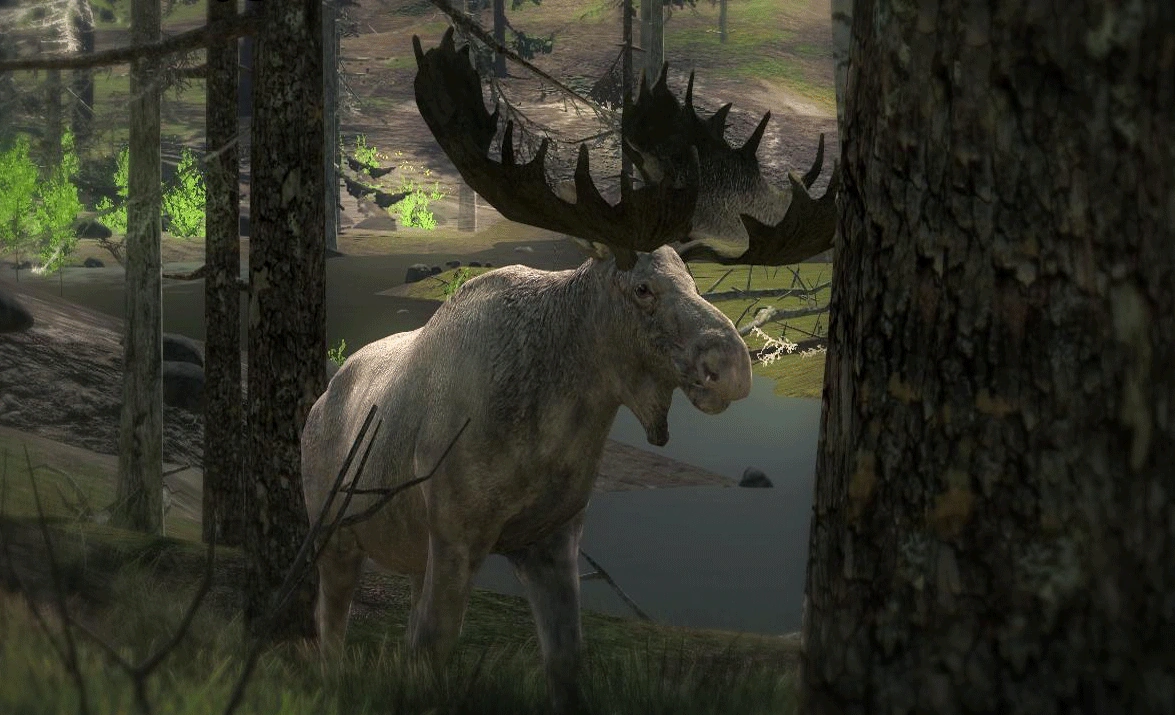 The Hunter Call Of The Wild Seltene Tiere
