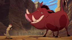 RunforourlivesTimonPumbaa