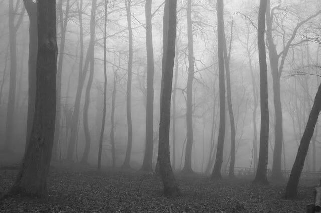 File:Slenderman 2.jpg