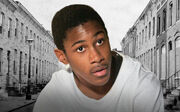 The Wire Sherrod