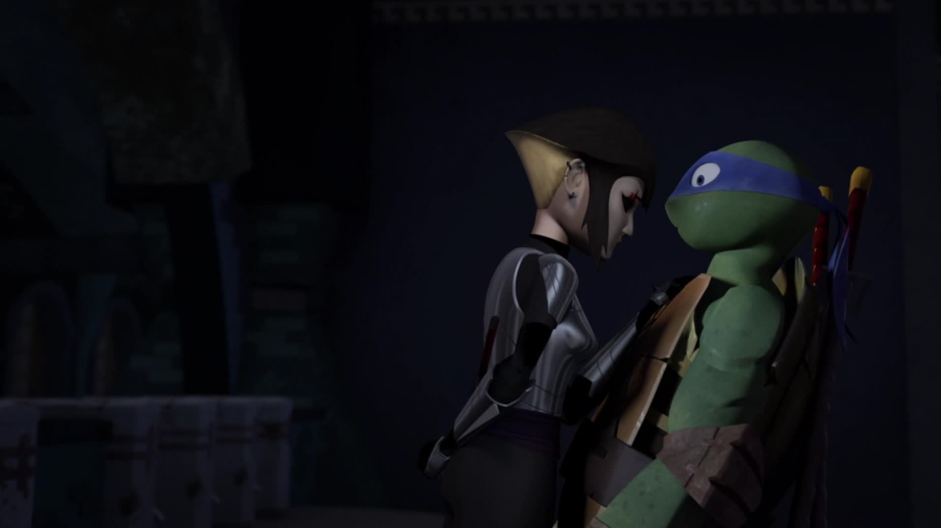 mutant turtles leonardo and karai.