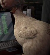 Dr. cluckingsworth md.png (289 KB) Dr cluckingsworth md