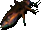 Cockroach Charm