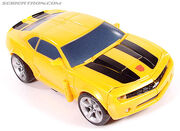 R fabbumblebee022