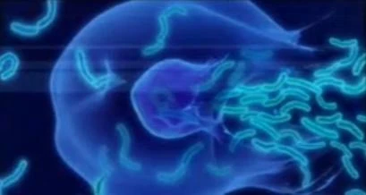 [Image: latest?cb=20100606173109]