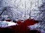 Rio de Sangre copia