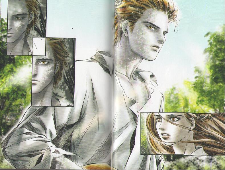 Image result for twilight graphic novel