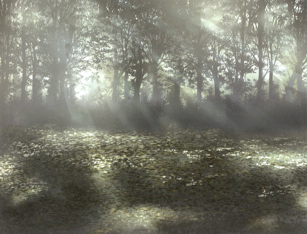 File:Einzbern forrest battlefield.png