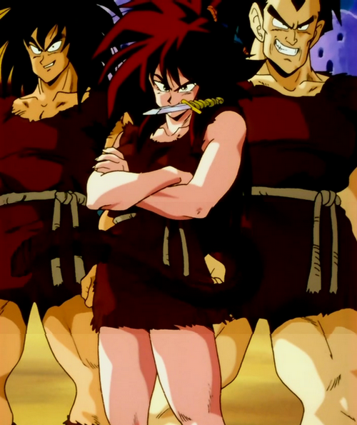 Goku and U6 Saiyajins, Dragon Ball