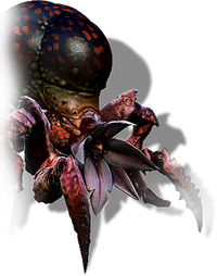 Tw2 journal arachas