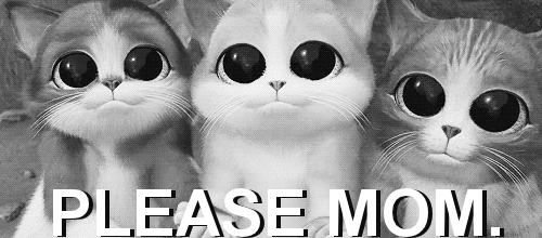 http://vignette4.wikia.nocookie.net/victorious/images/2/20/Please_mom.gif/revision/latest?cb=20130423143712