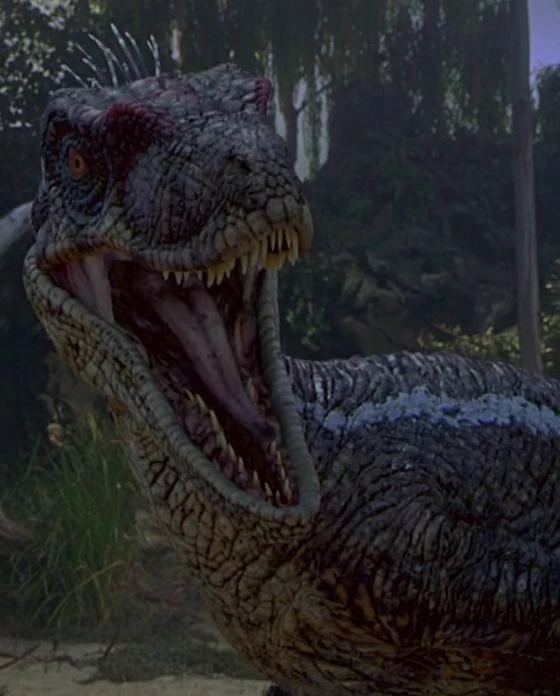 Image Raptor (Jurassic Park III).JPG Villains Wiki FANDOM powered