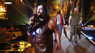 Bray wyatt apron