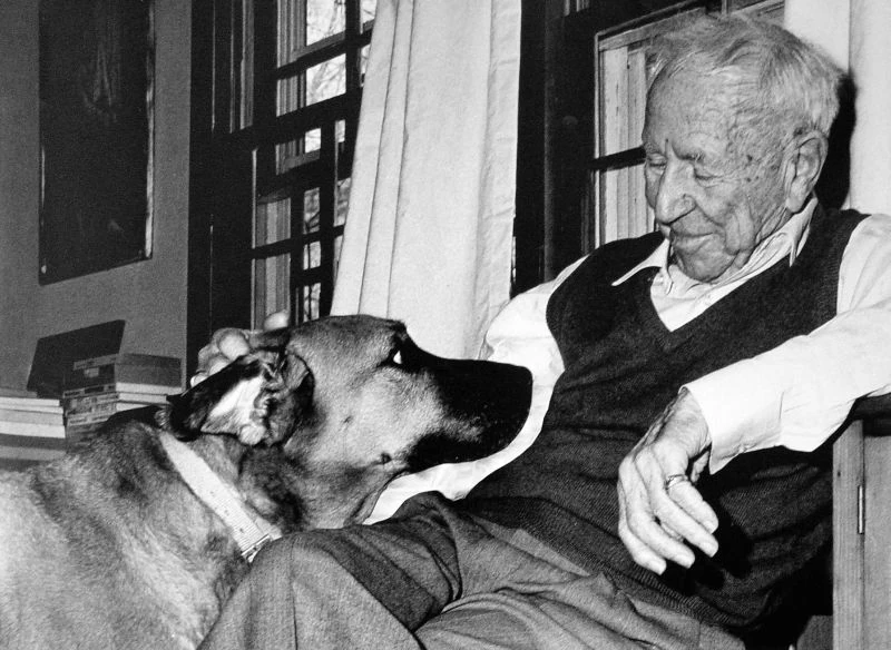 ALEXANDER LOWEN Wiki Vozymovimiento FANDOM powered by Wikia