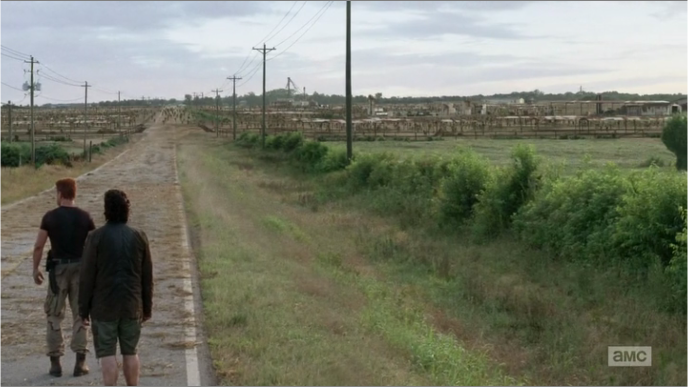 Image A Thousand Walkers Numbered Horde.png Walking Dead Wiki