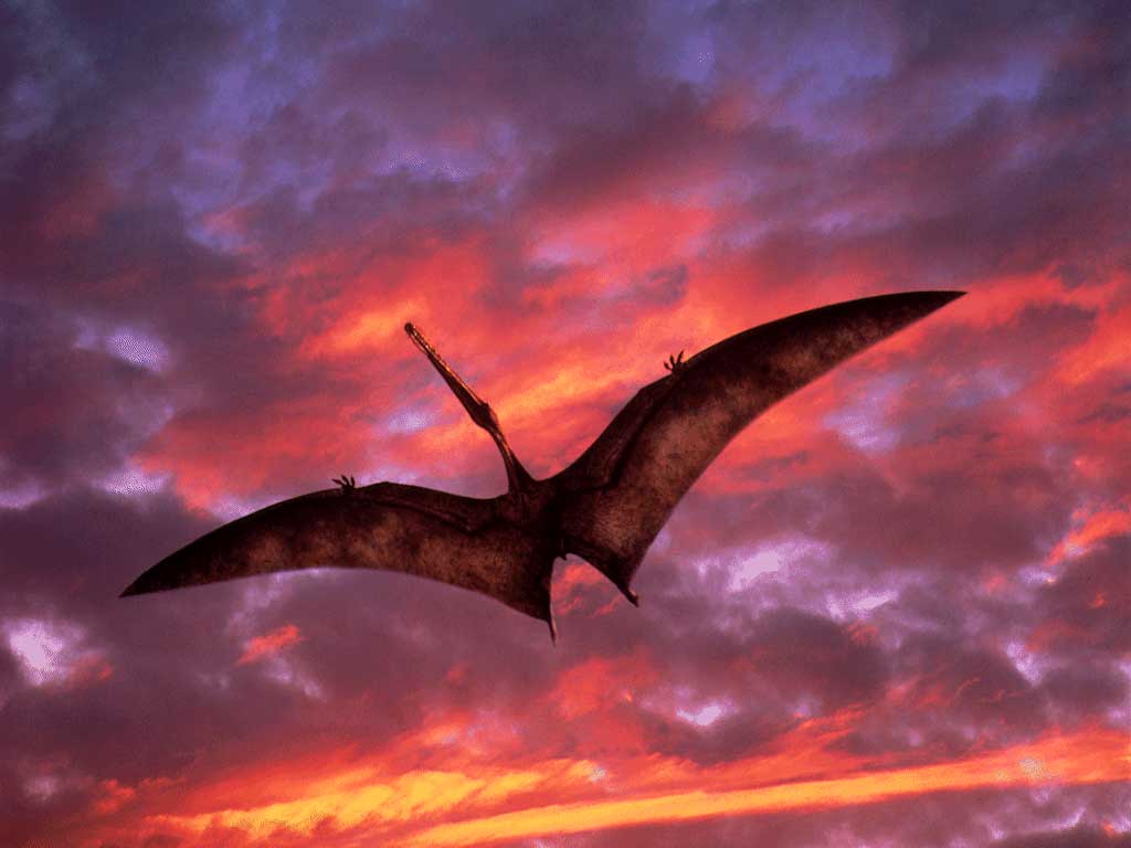 walking with dinosaurs ornithocheirus