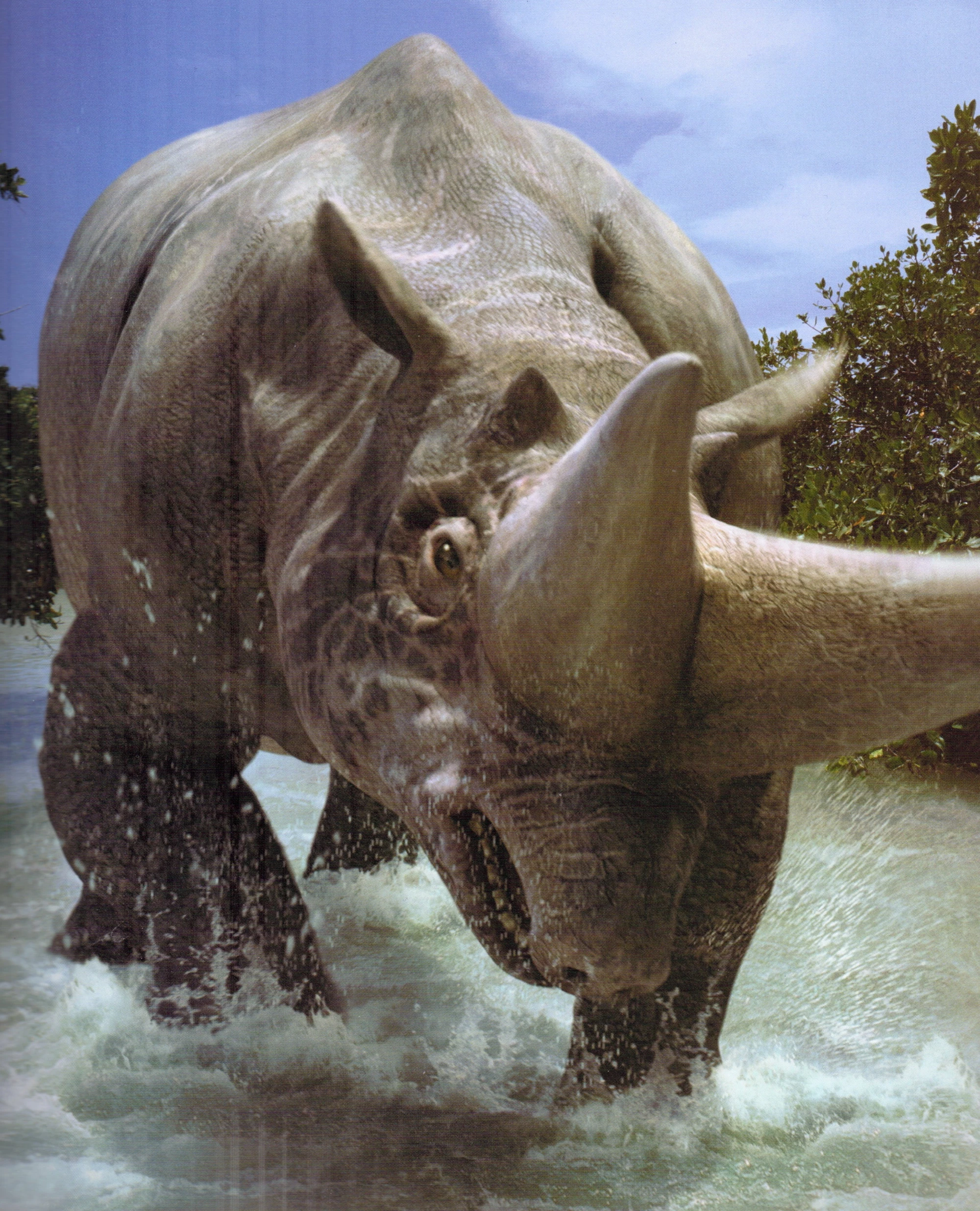 Arsinoitherium Walking With Wikis FANDOM powered by Wikia