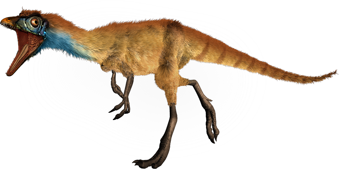 compsognathus footprint