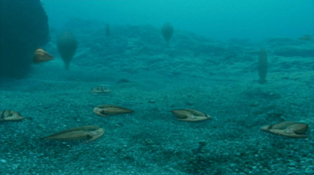 latest?cb=20110822171822