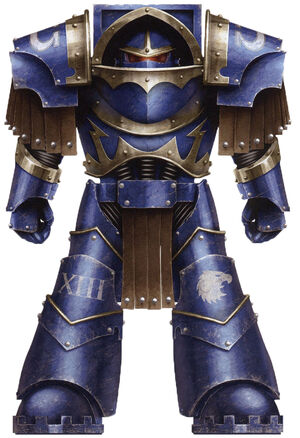 UM Legion Termi