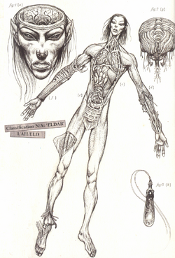 Eldar Xenological Diagram