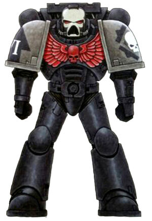 Iron Champions Marine