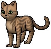 Warrior Cats Rosenschweif Warrior Cats Rosenschweif