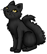 Warrior Cats Fetzenstern Und Gelbzahn Warrior Cats Fetzenstern Und Gelbzahn